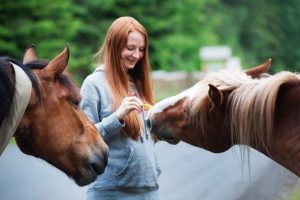 Check Out Wild Horses At Assateague State Park - Baltimore Dating Ideas