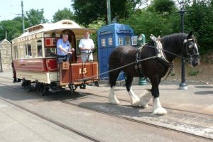 Ride the Louisville Horse Tram - Louisville Dating Ideas