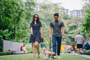 Stroll Around the Beautiful Parks - 5 Best San Jose Dating Ideas
