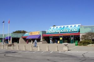 Take your partner to Indianapolis Zoo - 6 Best Indianapolis Dating Ideas