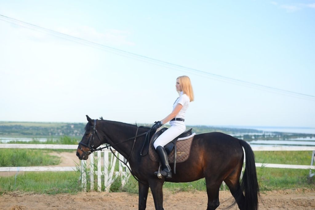 Go Horseback Riding at Bunker Park Stable - Minneapolis Dating Ideas