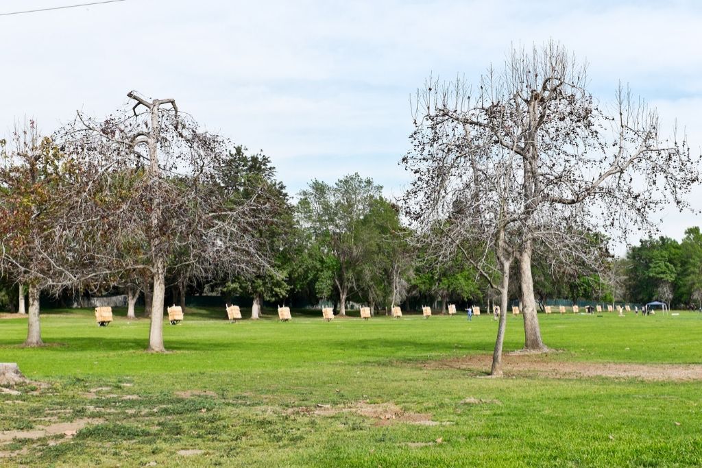 Go to El Dorado East Regional Park in Long Beach