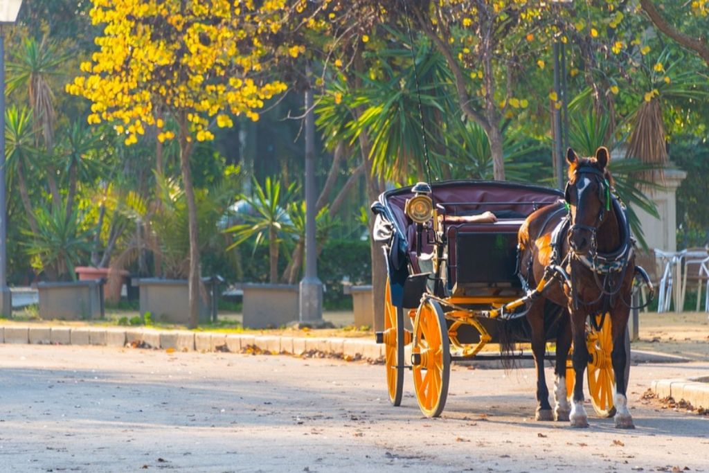 Horse Carriage Ride for Date in New Orleans