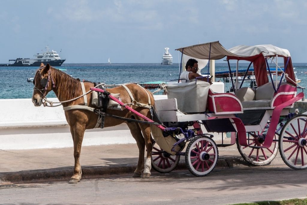 Try the Magical Carriage Ride in Omaha