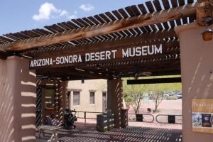 Visit Arizona - Sonora Desert Museum - Tucson Dating Ideas
