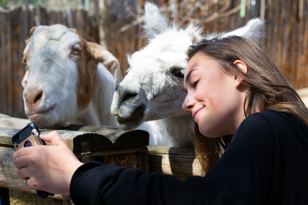 Visit Fresno Chaffee Zoo